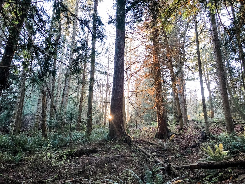 The Hen & Hound Farm | 600 Walkers Hook Rd, Salt Spring Island, BC V8K 1N7, Canada | Phone: (250) 701-2515