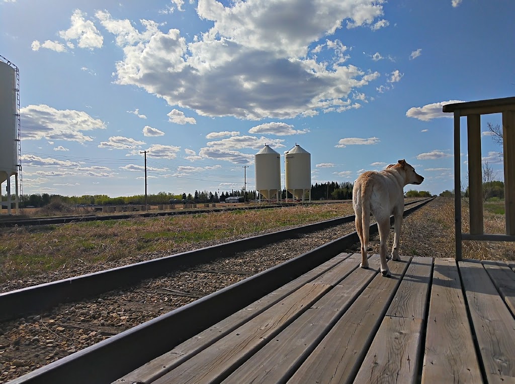 Hamlet of Galahad | 312 Merlin St, Galahad, AB T0B 1R0, Canada | Phone: (780) 583-3741