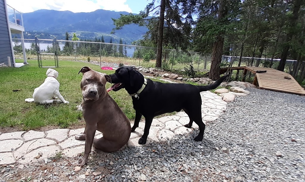 Doggy Day Care | 2801 Squilax-Anglemont Rd, Lee Creek, BC V0E 1M4, Canada | Phone: (587) 783-4325