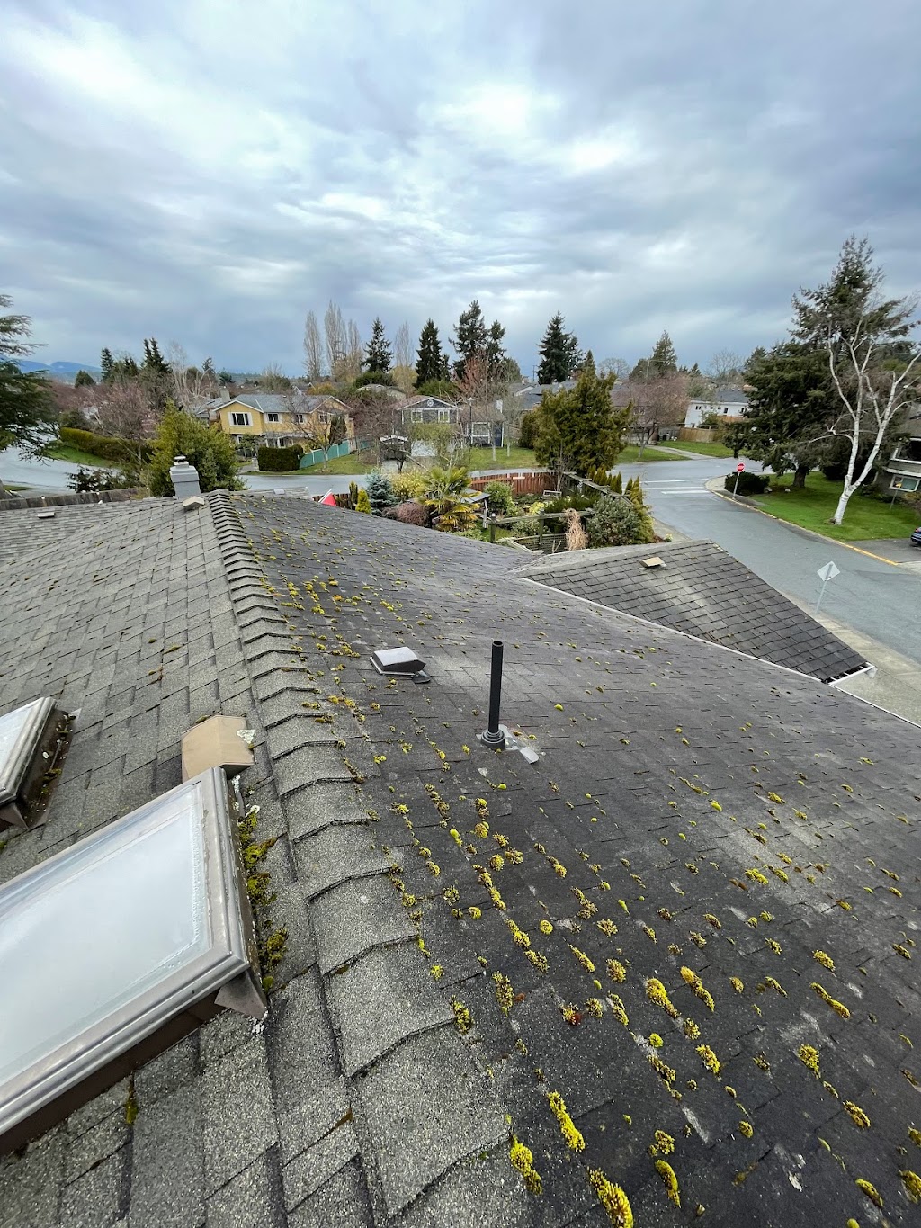 ECS Exterior Cleaning Services | 3566 Desmond Dr, Victoria, BC V9C 3T1, Canada | Phone: (250) 588-2864