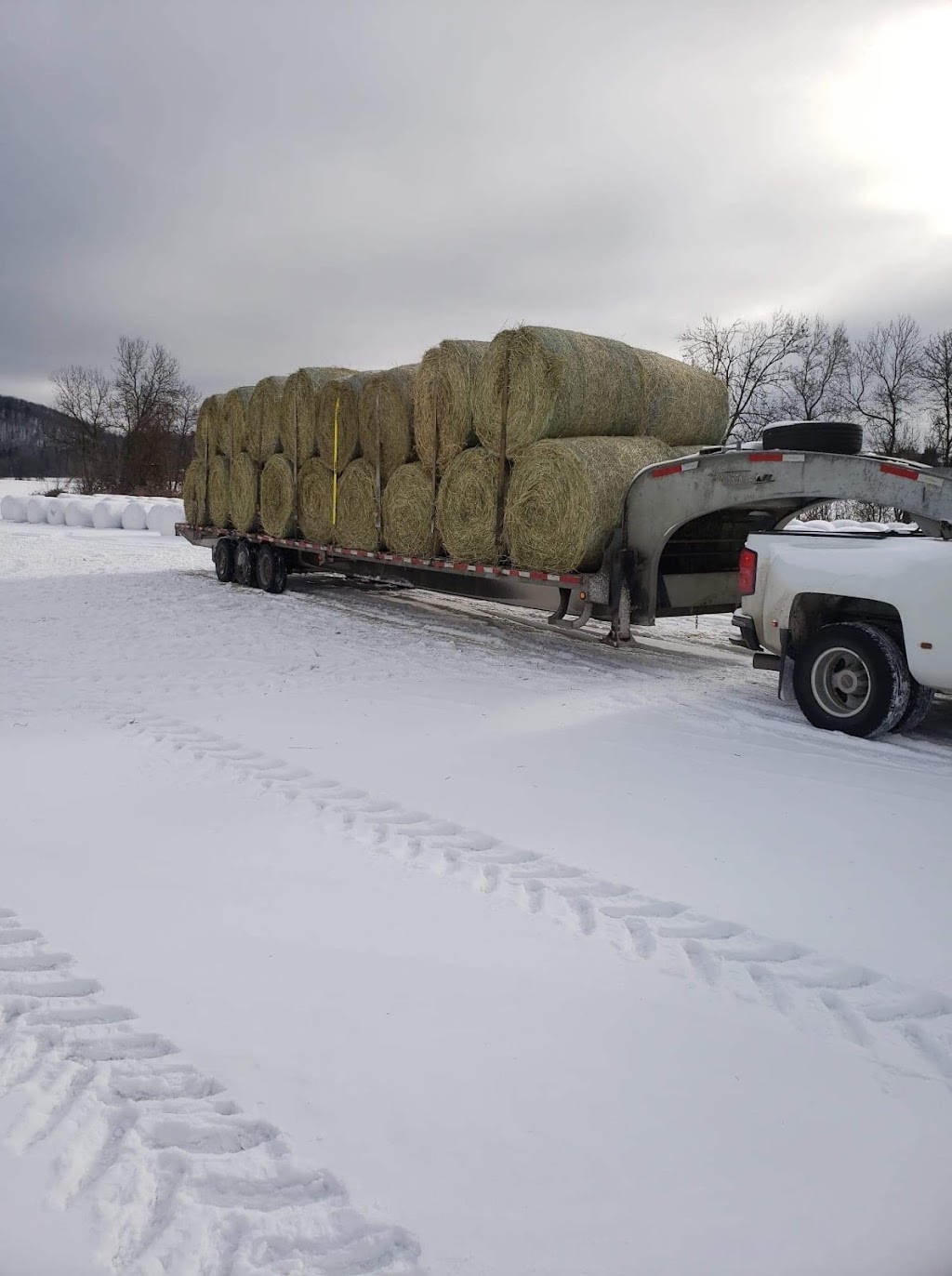 Transport Denis Tisserand | 493 Chem. des Voyageurs, Chute-Saint-Philippe, QC J0W 1A0, Canada | Phone: (819) 440-5373