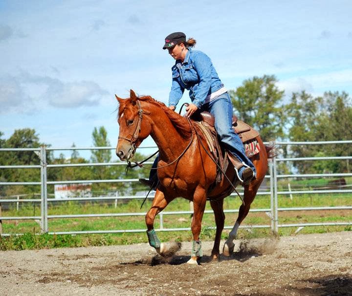 Coastal Equine | 3020 Upland Way, Ferndale, WA 98248, USA | Phone: (360) 961-5537