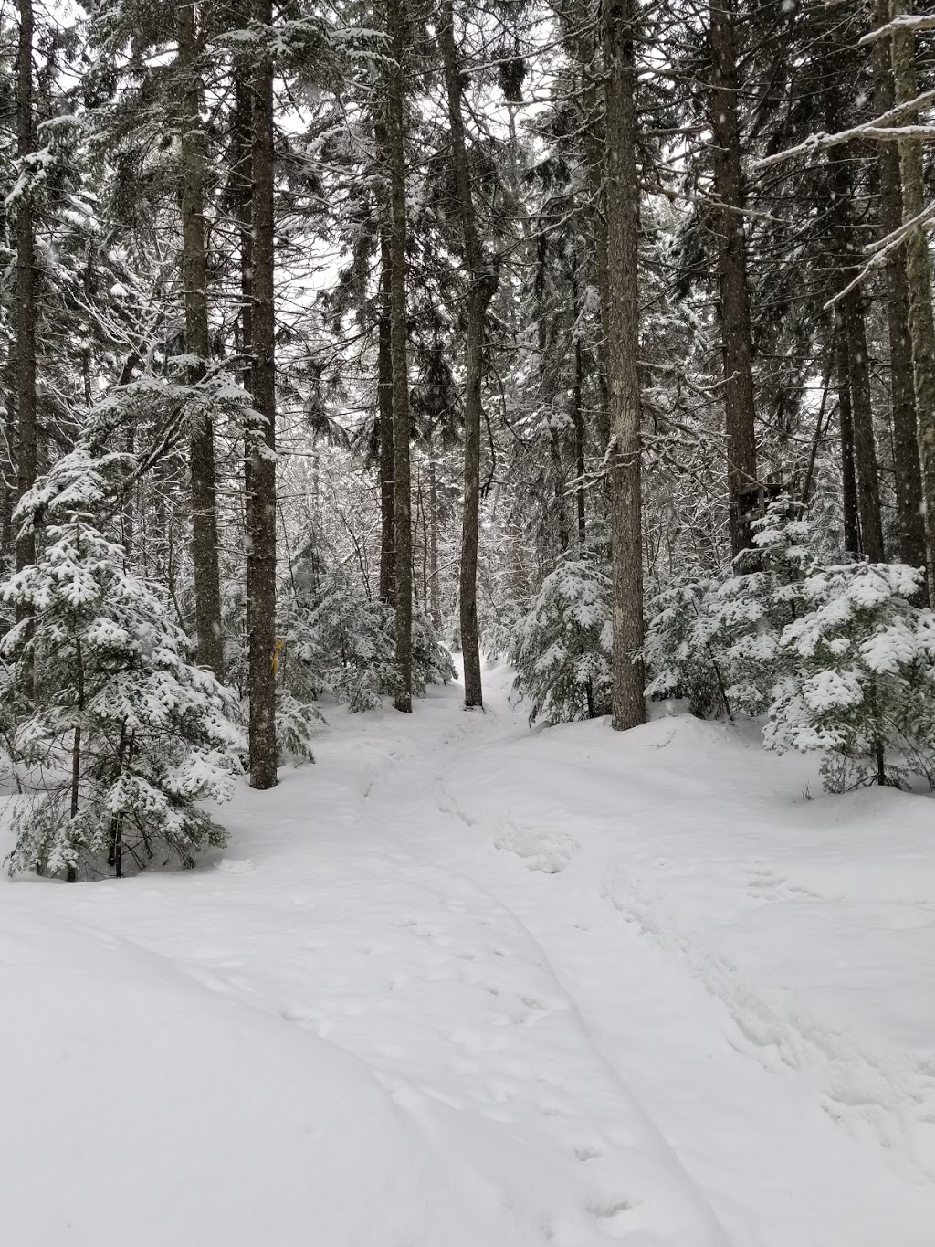 Les Sentiers de LInconnu -Sentiers Hivernaux- | 220 QC-283, Notre-Dame-du-Rosaire, QC G0R 2H0, Canada | Phone: (418) 802-2482