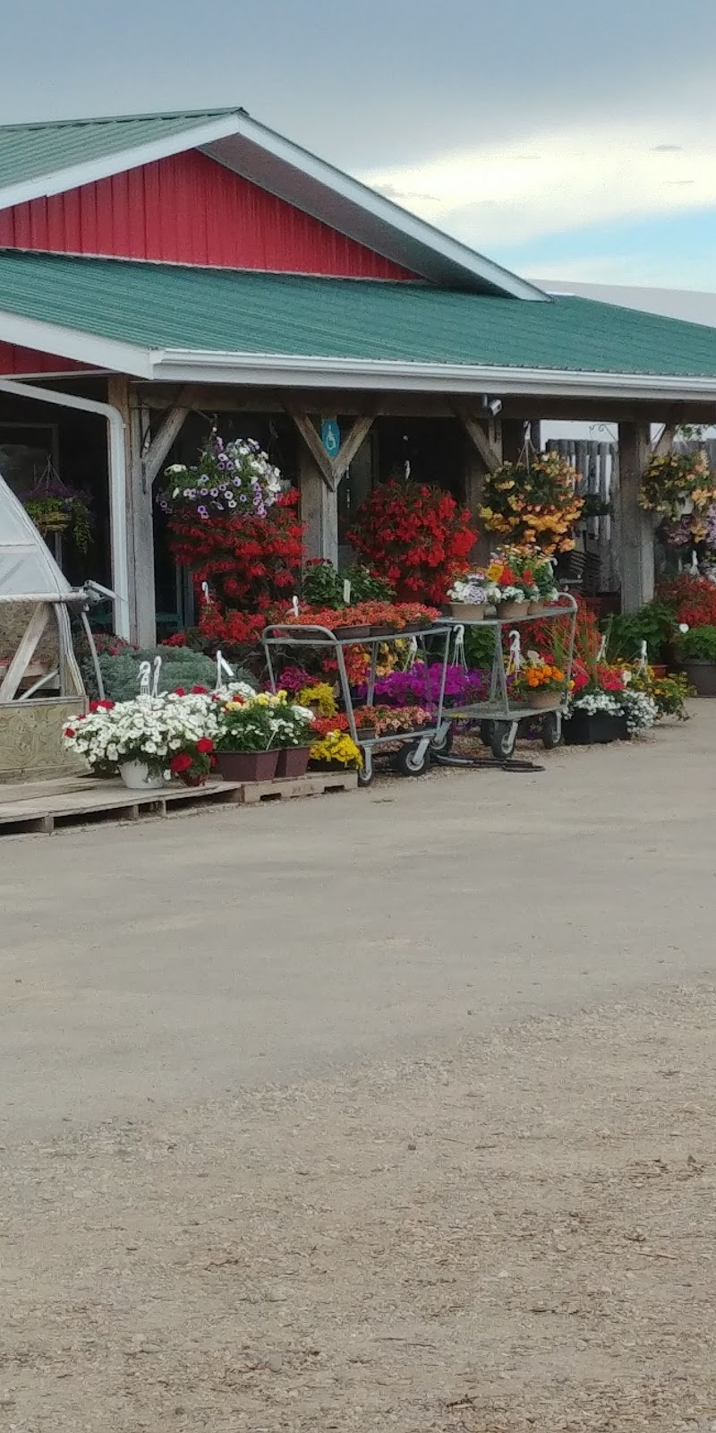 Green Acres Greenhouse | 704 4th Ave E, Watrous, SK S0K 4T0, Canada | Phone: (306) 946-4191