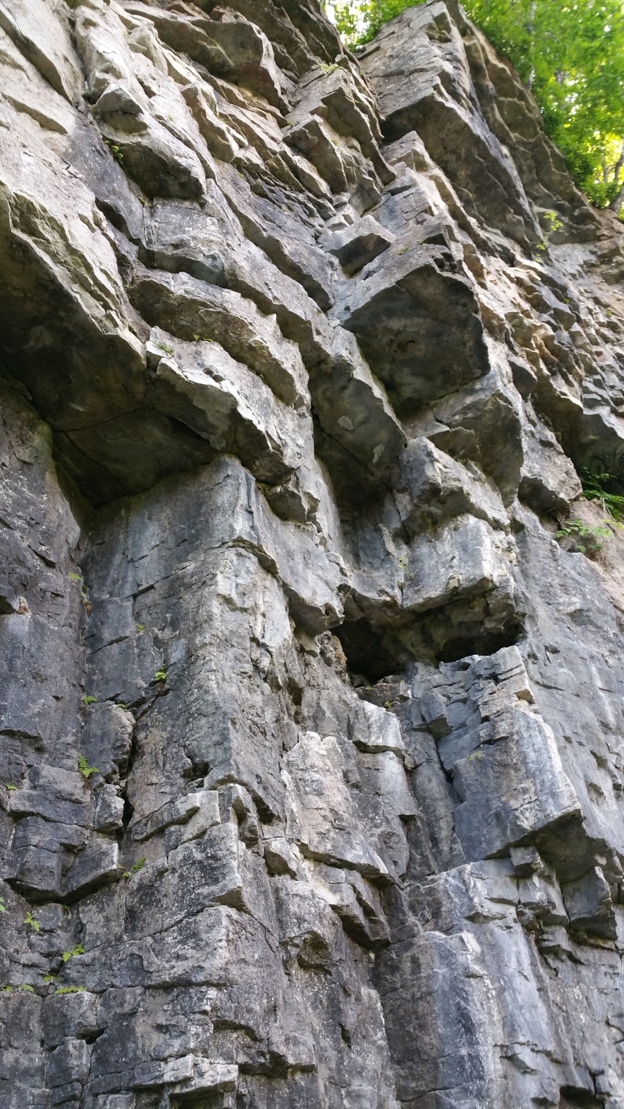 The Turtle Climbing Crag | Burlington, ON L7M 0T7, Canada | Phone: (905) 336-1158