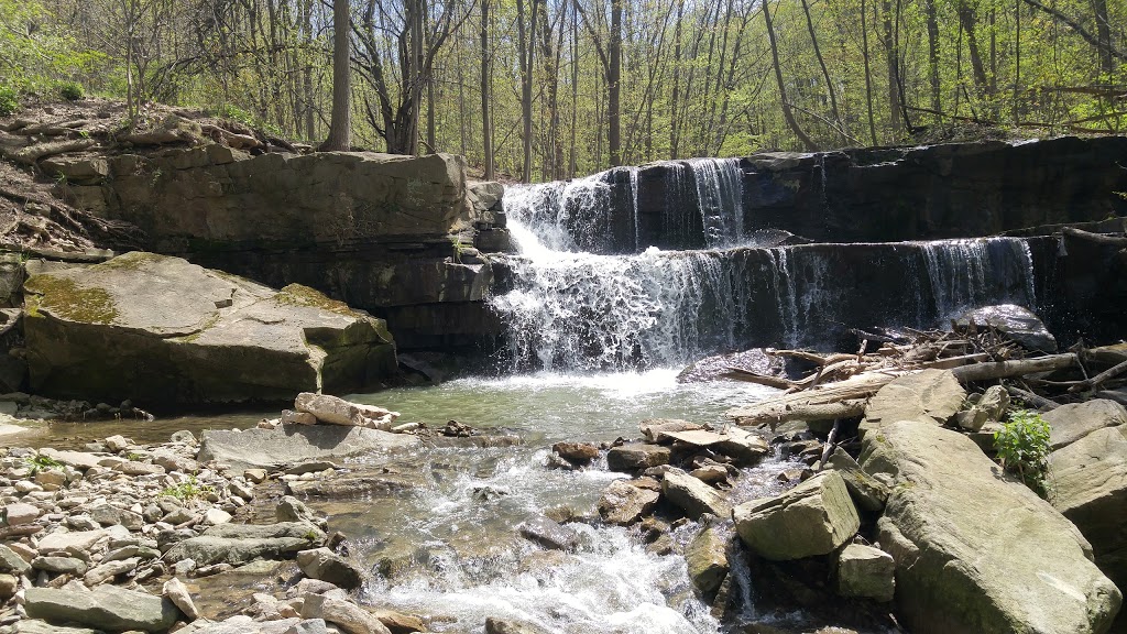 Felkers Falls Conservation Area | Ackland St, Stoney Creek, ON L8J 1R3, Canada | Phone: (905) 525-2181