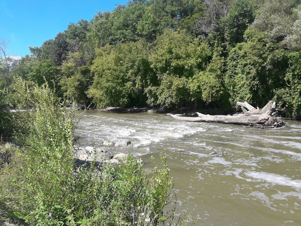 Don River Valley Park | Don Valley Pkwy, Toronto, ON M4K, Canada