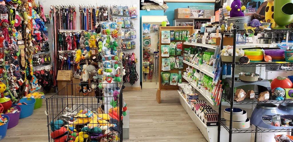 Pet Junction Grooming & Supplies | 27257 Fraser Hwy #101, Aldergrove, BC V4W 3P9, Canada | Phone: (604) 856-3386