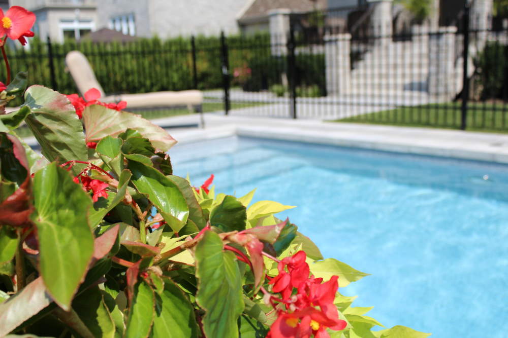 Piscine Bertrand Bouchard | 2385 Av. du Pont S Local 101, Alma, QC G8B 5V2, Canada | Phone: (418) 662-7666