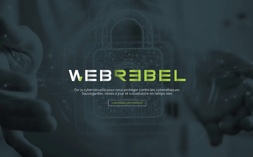 Web Rebel | 182 Chemin Iroquois, Amherst, QC J0T 2L0, Canada | Phone: (873) 479-0225