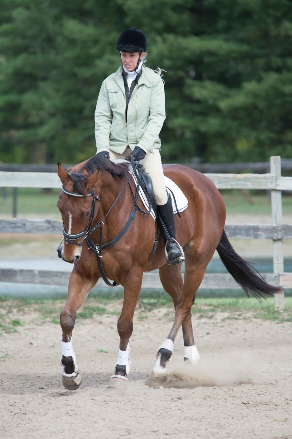 Kavanagh Equestrian | 12443 Masters Rd, Memphis, MI 48041, USA | Phone: (810) 300-4346