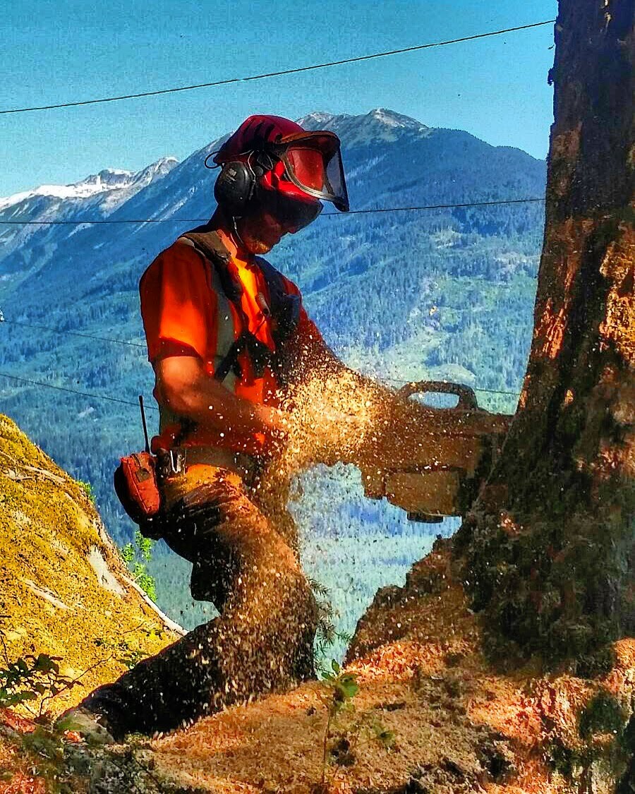 Cloudraker Tree service | 7338 Industrial Way, Pemberton, BC V0N 2L0, Canada | Phone: (604) 898-2314