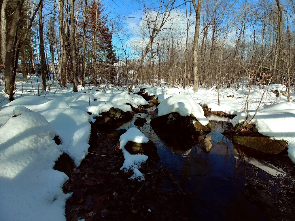 Parc de la Coulée | Rue du Clos Toumalin, Prévost, QC J0R 1T0, Canada