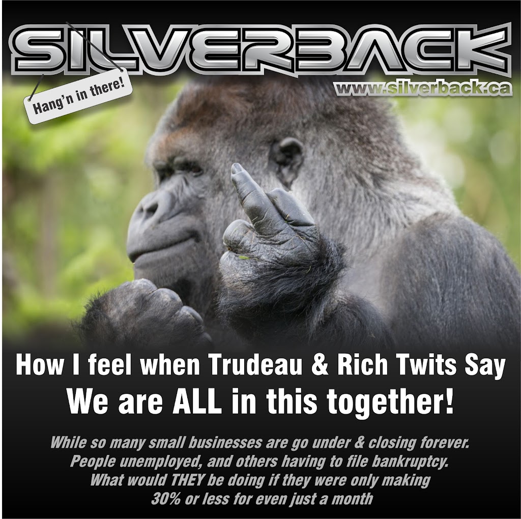 Silverback | 1340 Fisher Rd #2, Cobble Hill, BC V0R 1L2, Canada | Phone: (250) 303-1313