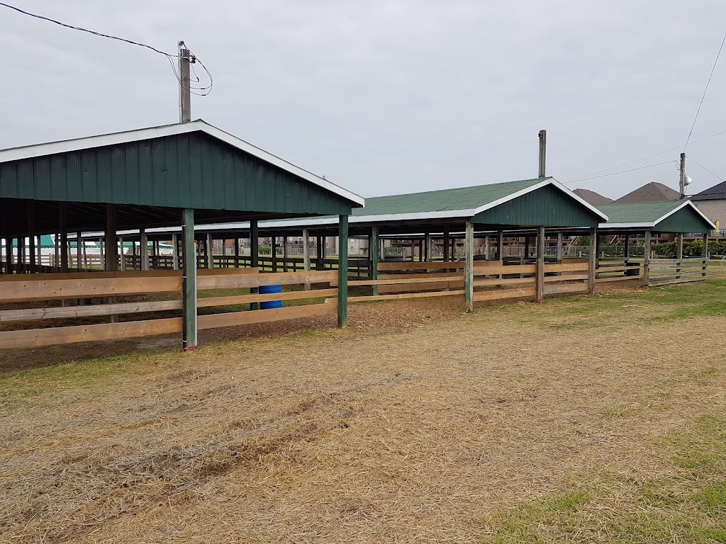 Binbrook Agricultural Society | 2600 Hwy 56, Binbrook, ON L0R 1C0, Canada | Phone: (905) 692-4003