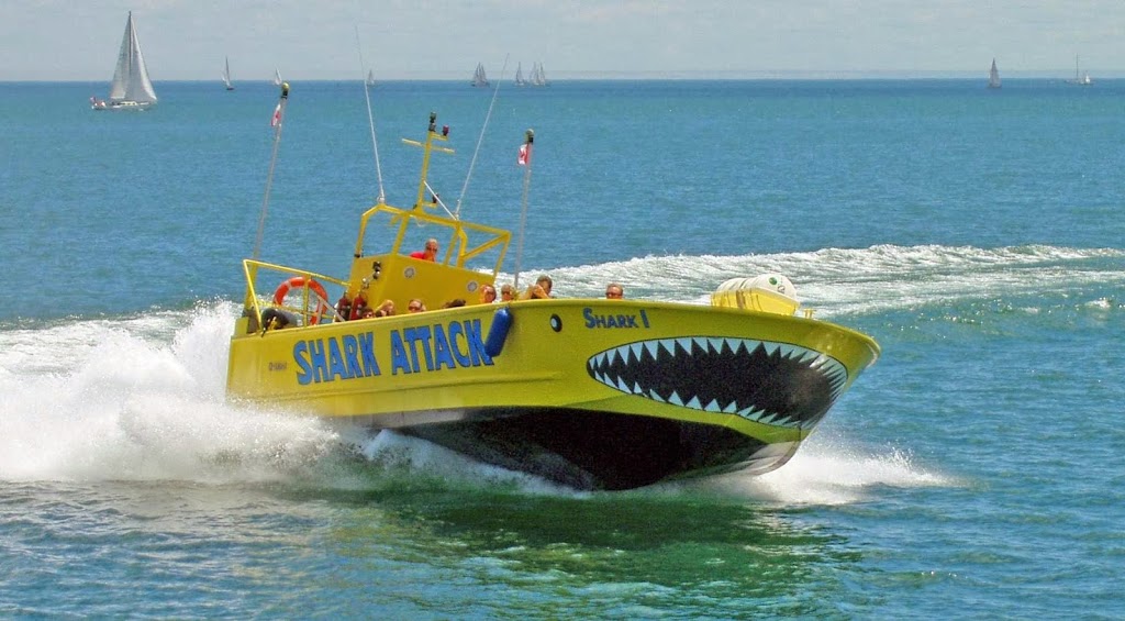 Shark Attack Tours | 249 Queens Quay W, Toronto, ON M5J 2N5, Canada | Phone: (416) 410-0536