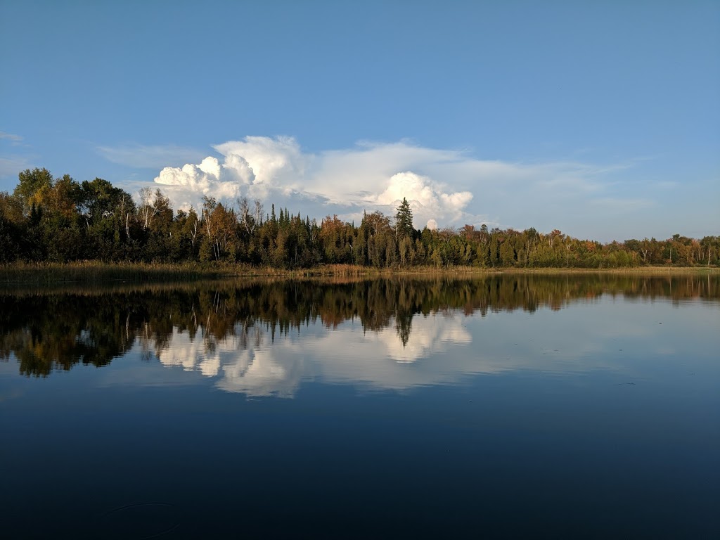 Secord Forest and Wildlife Area | Goodwood, ON L0C 1A0, Canada