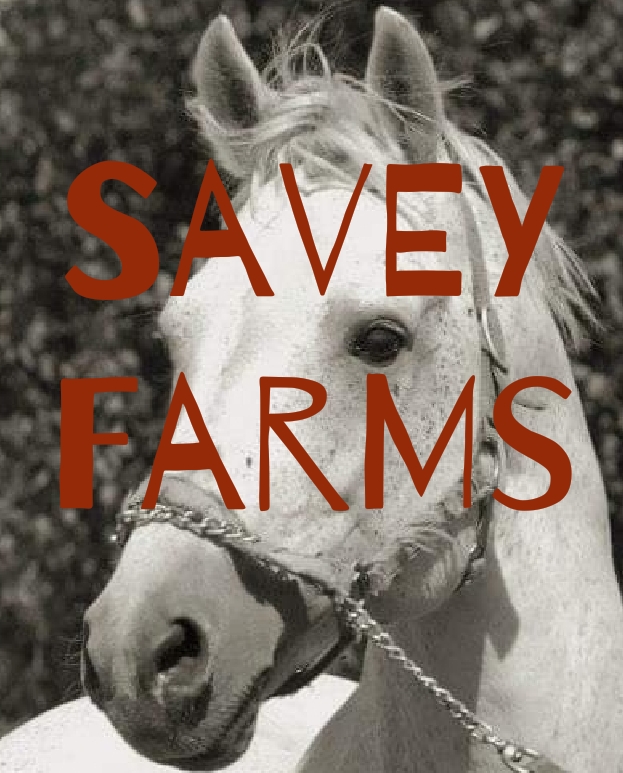 Savey Farms | 12613 NS-224, Chaswood, NS B0N 2H0, Canada | Phone: (519) 551-4650