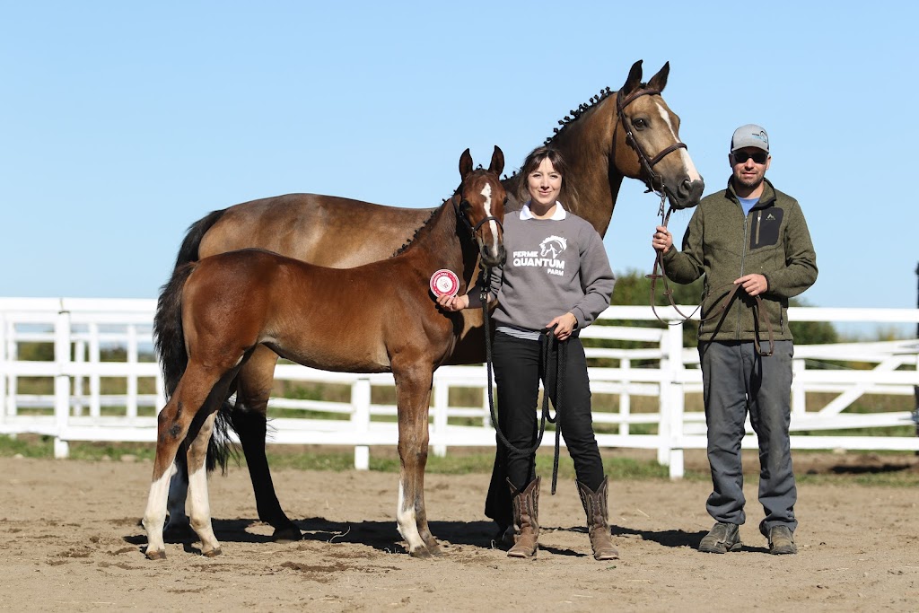 Ferme Quantum | 5868 Chemin St Isidore, Laterrière, QC G7N 1M4, Canada | Phone: (418) 540-0726