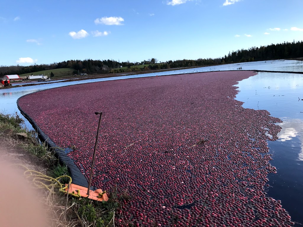 Terra Beata Farms | 161 Monk Point Rd, Lunenburg, NS B0J 2C0, Canada | Phone: (902) 634-4435