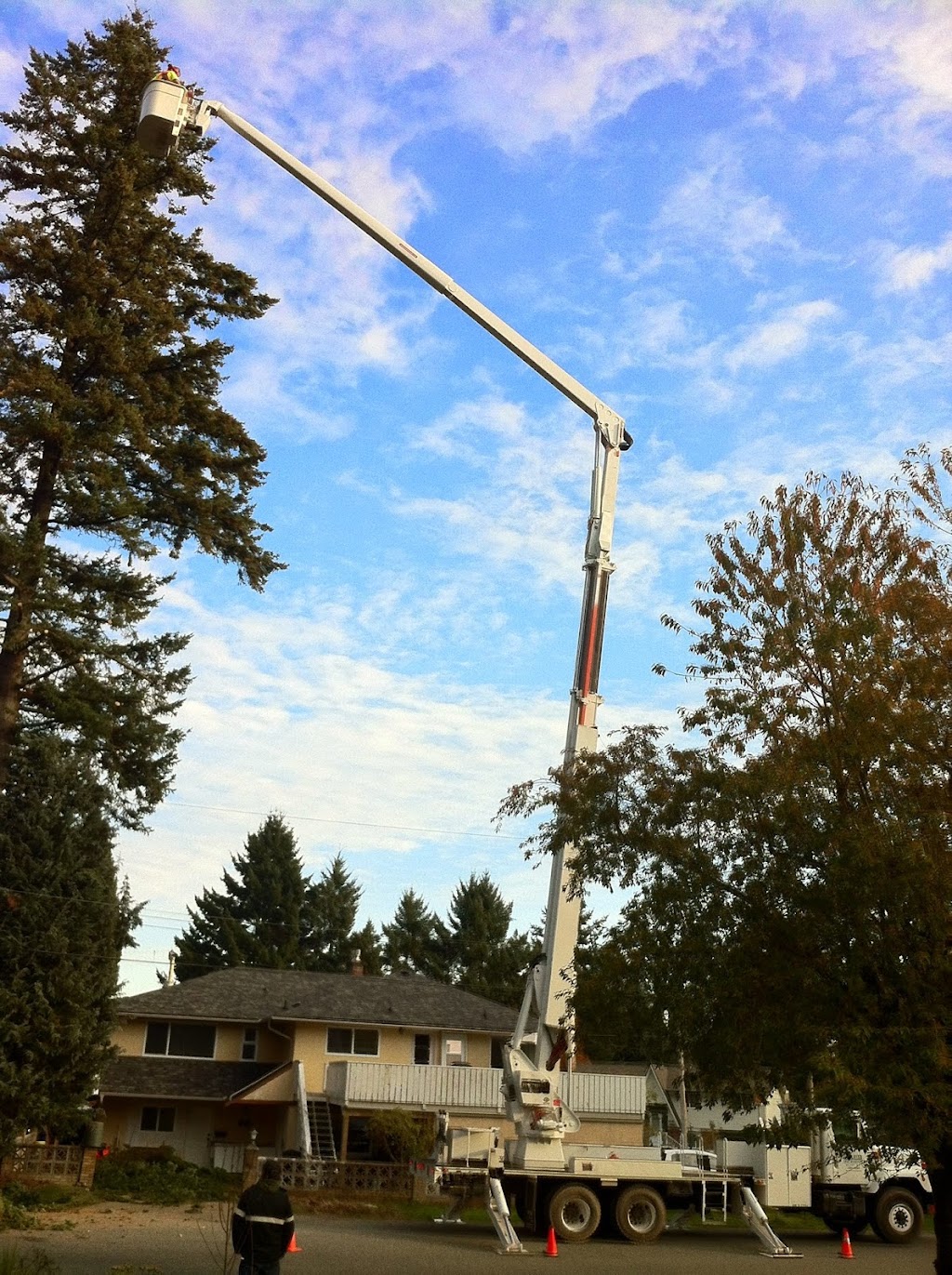 Eager Beaver Tree Service | 1562 Sawyer Rd, Victoria, BC V9B 5Y5, Canada | Phone: (250) 727-5693