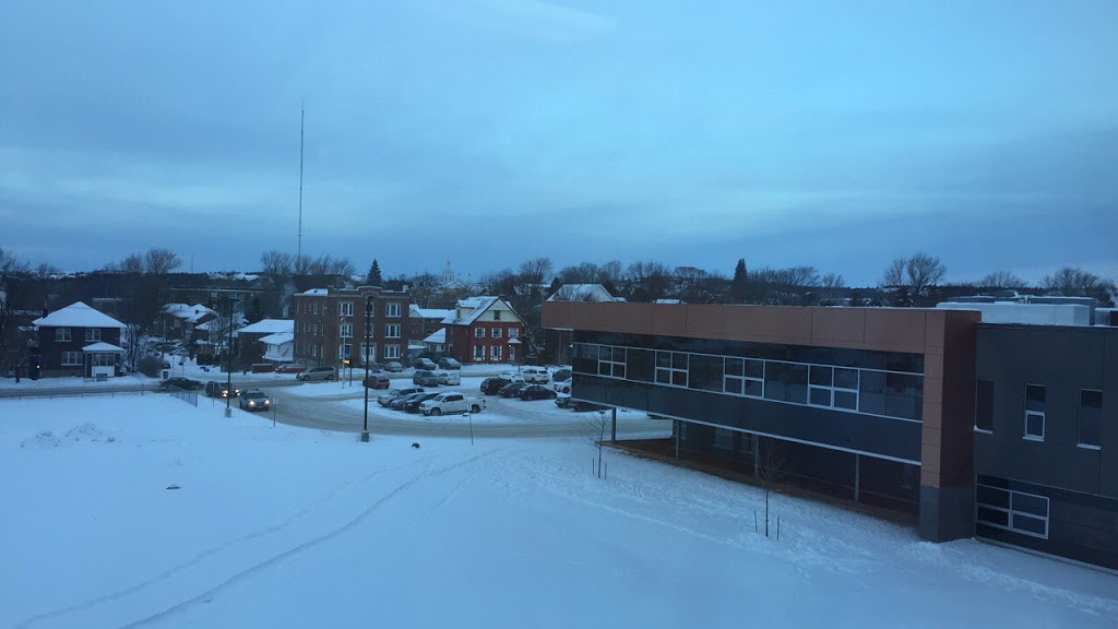 Sudbury Secondary School | 154 College St, Sudbury, ON P3C 4Y2, Canada | Phone: (705) 674-7551