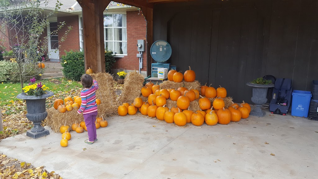 Creek Shore Farms | 1167 Lakeshore Rd W, St. Catharines, ON L2R 6P9, Canada | Phone: (289) 228-0697