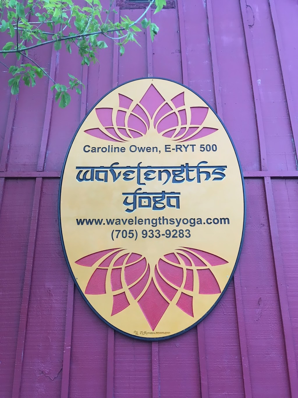 Wavelengths Yoga | 2351 County Road 45, Norwood, ON K0L 2V0, Canada | Phone: (705) 933-9283