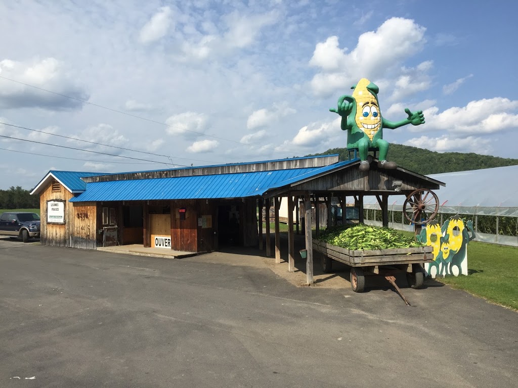 Kiosque de la Ferme Louiselle & Gaetan Brassard | 2415 Chemin des Glaïeuls, La Conception, QC J0T 1M0, Canada | Phone: (819) 686-5193