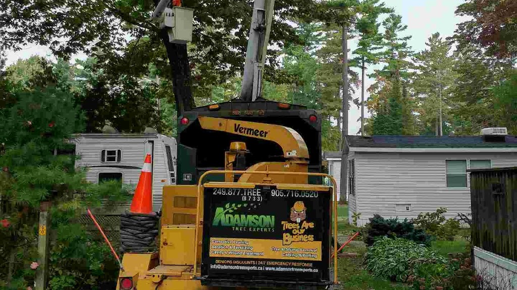 Adamson Tree Experts | 24 Falvo St, Wasaga Beach, ON L9Z 1J6, Canada | Phone: (249) 877-8733