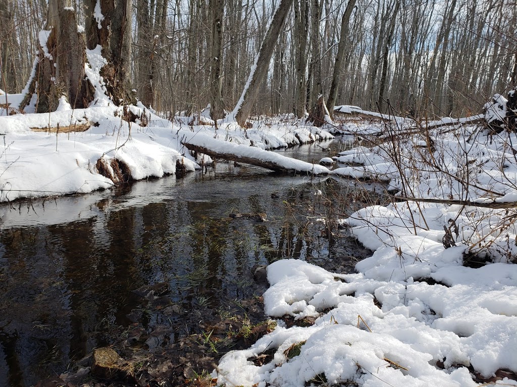 Speyside Resource Management Area | 11677 Regional Rd 25, Milton, ON L9T 2X7, Canada | Phone: (905) 336-1158