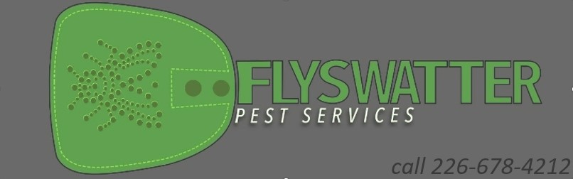 Flyswatter Pest Services | 111 Commissioner St, Embro, ON N0J 1J0, Canada | Phone: (226) 678-4212