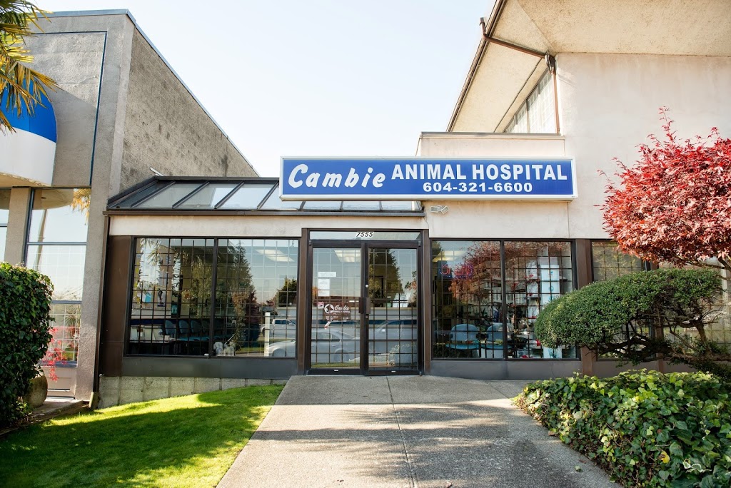 Cambie Animal Hospital | 7555 Cambie St, Vancouver, BC V6P 3H6, Canada | Phone: (604) 321-6600