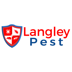 Langley Pest Exterminators | 17283 60 Ave, Surrey, BC V3S 1T7, Canada | Phone: (604) 256-1140