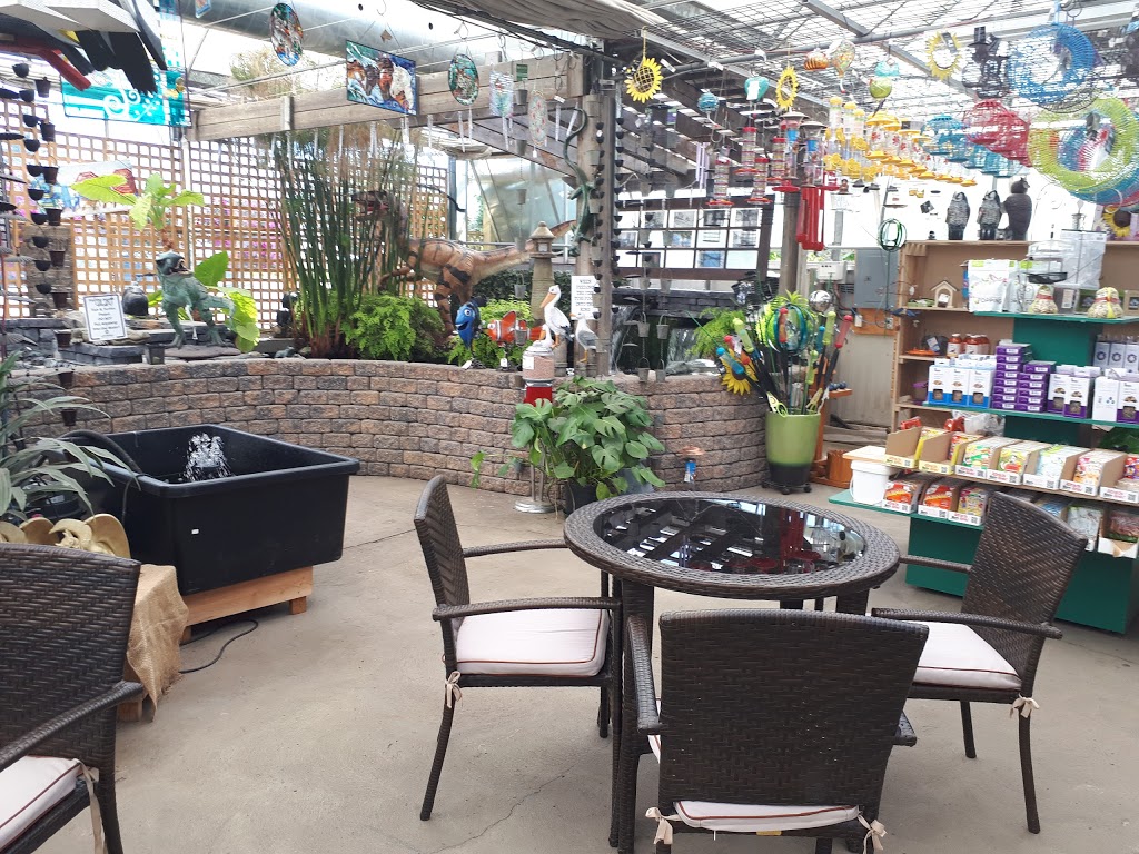 Kuhlmanns Greenhouse Garden Market | 1320 167 Ave NW, Edmonton, AB T5Y 6L6, Canada | Phone: (780) 475-7500