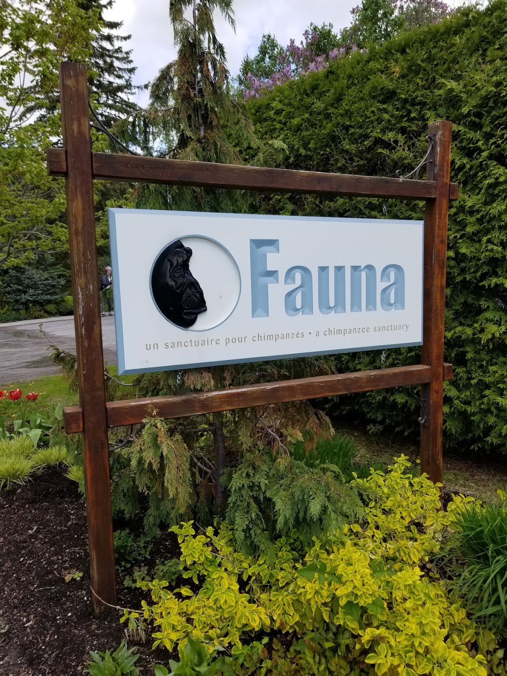 Fondation Quebecoise Fauna | 3802 Chemin Bellerive, Carignan, QC J3L 3P9, Canada | Phone: (450) 658-1844