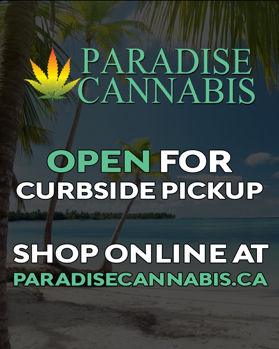 Paradise Cannabis | 427 Garrison Rd, Fort Erie, ON L2A 1N2, Canada | Phone: (289) 320-9420