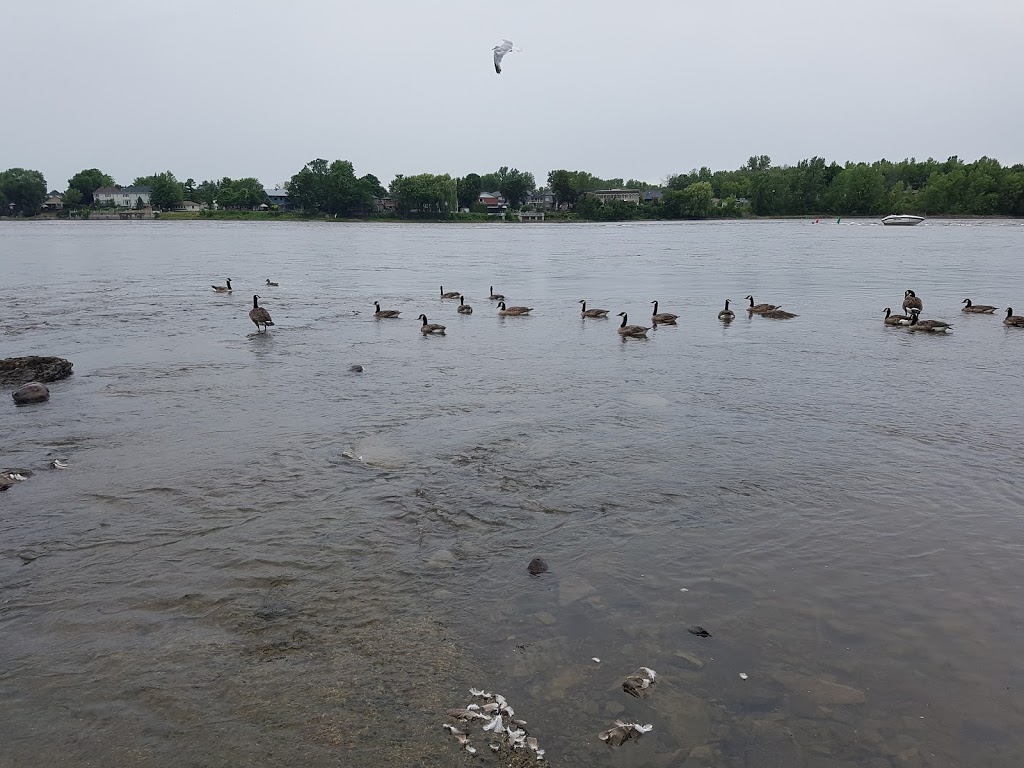 Nature Park Rapides du Cheval Blanc | 5239 Boulevard des Sources, Pierrefonds, QC H8Z 3L7, Canada | Phone: (514) 872-0311