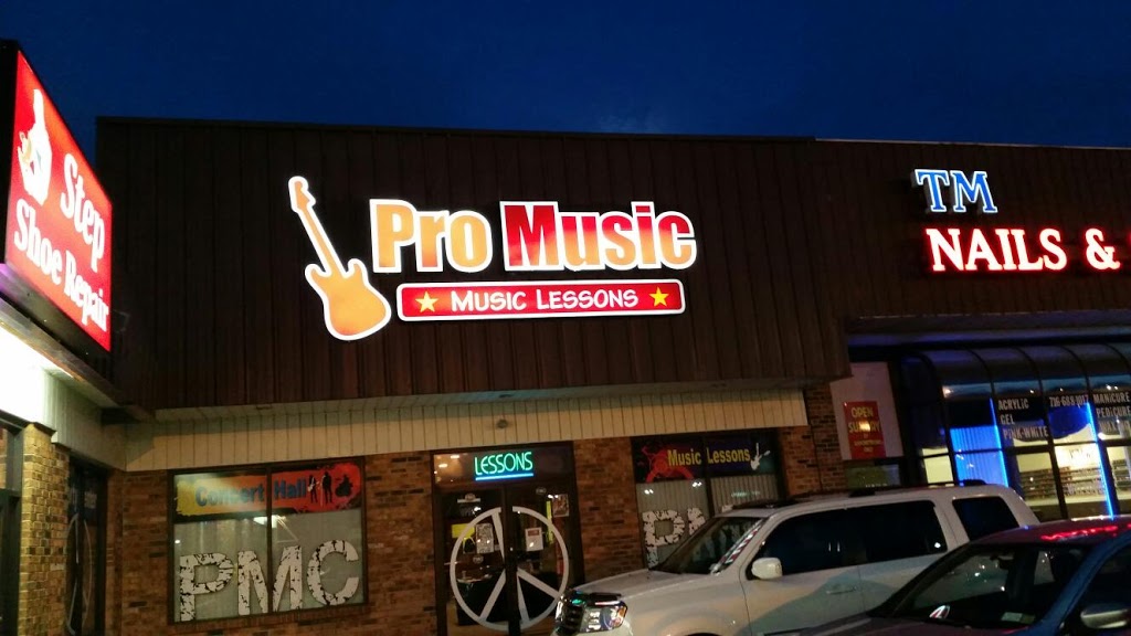 Pro Music Center | 224 Plaza Dr suite c, Williamsville, NY 14221, USA | Phone: (716) 689-2031