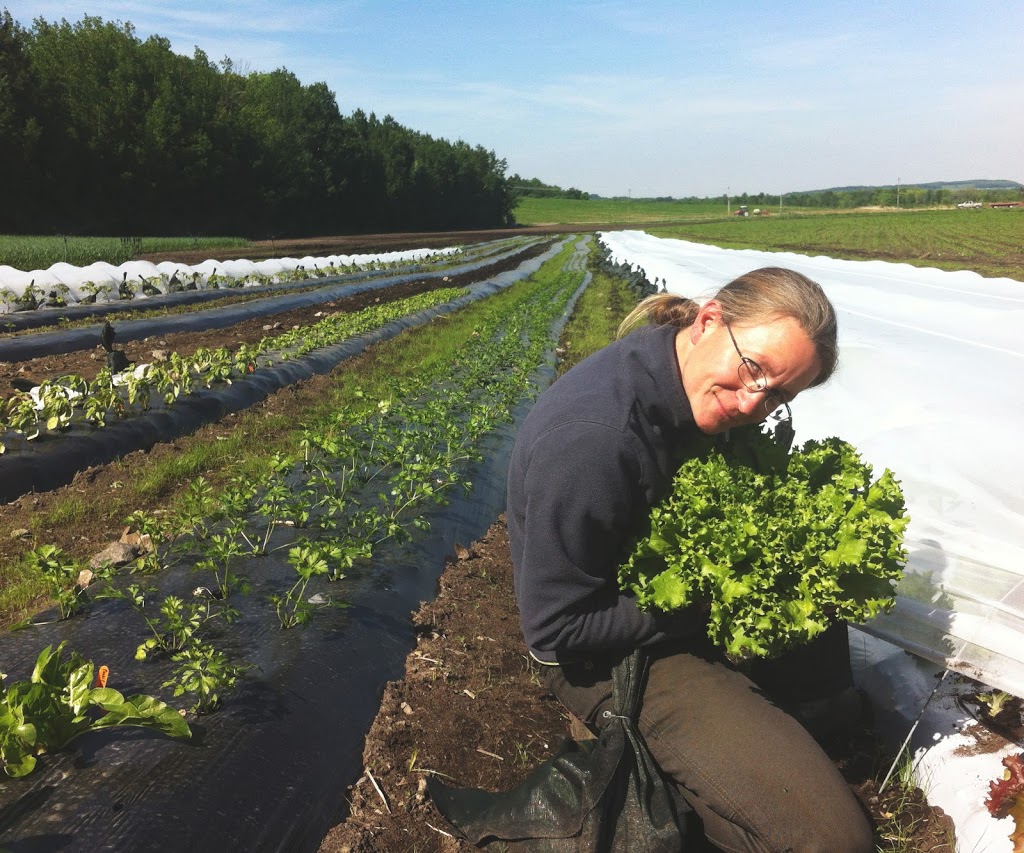 Les Jardins de la Pinède | 225 Rang de lAnnonciation, Oka, QC J0N 1E0, Canada | Phone: (450) 479-8052