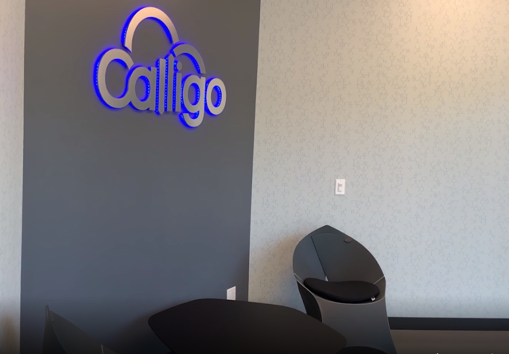 Calligo - Transformative Data Services - Toronto | 1415 Joshuas Creek Dr Unit 100, Oakville, ON L6H 7G4, Canada | Phone: (877) 793-3030