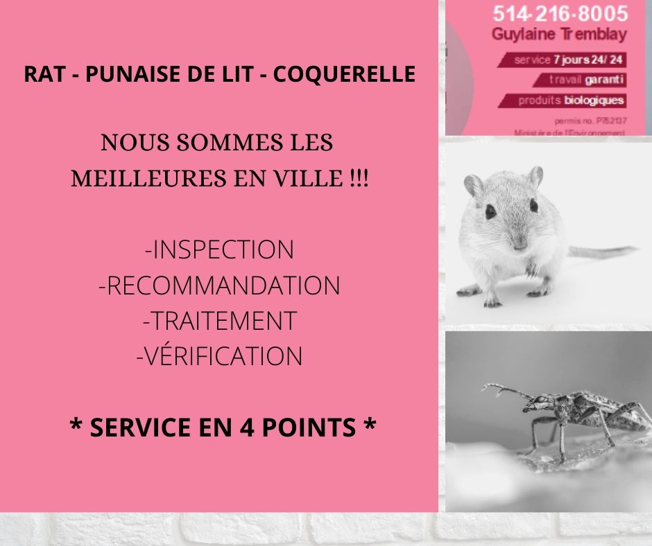 Extermination Guylaine Tremblay | 775 Rue Joliette, Saint-Amable, QC J0L 1N0, Canada | Phone: (514) 216-8005