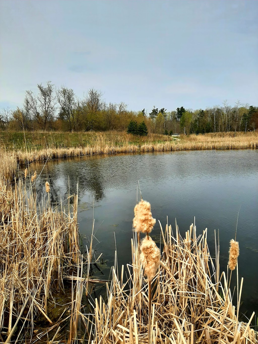 Snuretown Pond West | Brampton, ON L6Y 0G8, Canada | Phone: (905) 874-2000