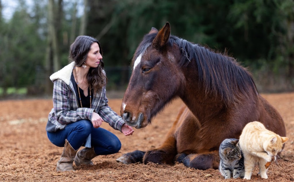 Freedom To Feel & Horse Guided Healing | 2708 210 St, Langley, BC V2Z 2A9, Canada | Phone: (778) 808-3982