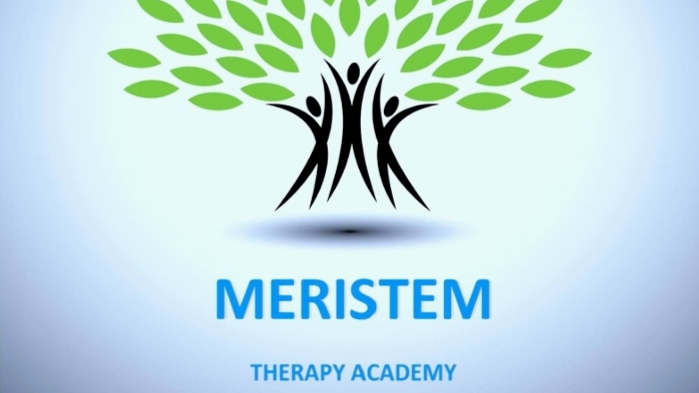 Meristem Therapy Academy | RR3 site 303 comp 53, Onoway, AB T0E 1V0, Canada | Phone: (780) 554-6561