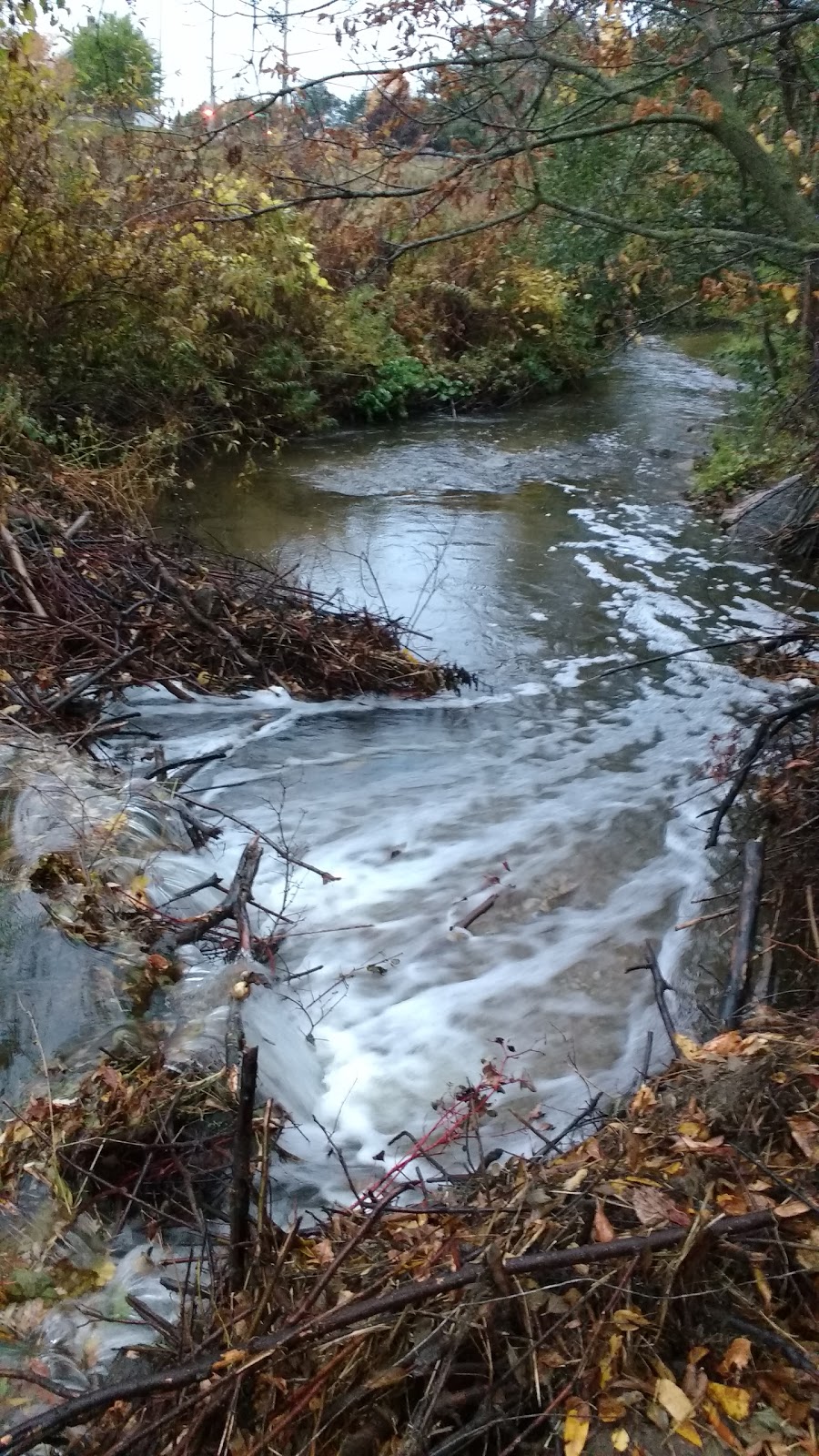 Lynde Creek | Whitby, ON L1P 1P2, Canada