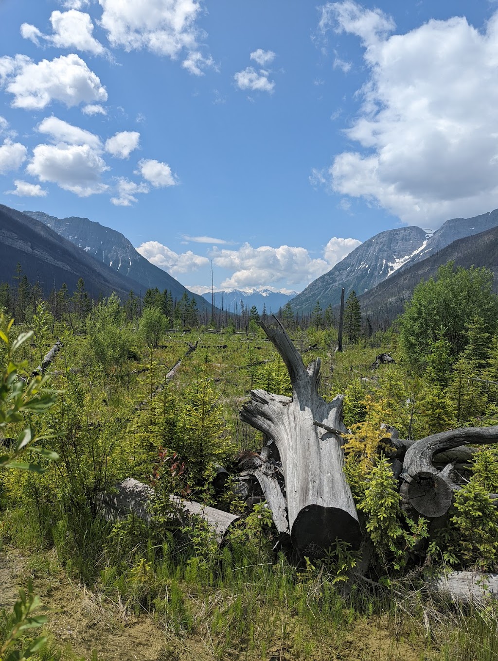 Simpson River Trailhead | East Kootenay G, BC V0A 1E0, Canada | Phone: (888) 773-8888