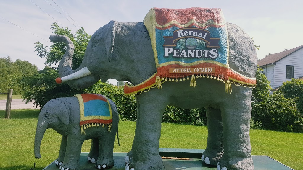 Kernal Peanuts Ltd. | 393 Fishers Glen Rd, St Williams, ON N0E 1P0, Canada | Phone: (519) 426-9222