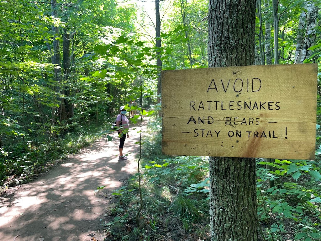 Lion’s Head Lookout Trail Parking | McCurdy Drive Parkette, Bruce Trail, Lions Head, ON N0H 1W0, Canada | Phone: (519) 793-3522