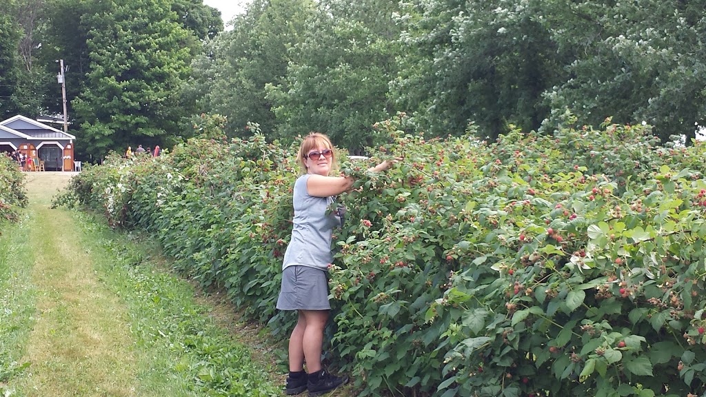 Ferme Au Pré Bleu | 409 Chemin Paul, Ascot Corner, QC J0B 1A0, Canada | Phone: (819) 832-3959